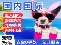阿尔山伊尔施航空邮寄国际宠物托运 【国